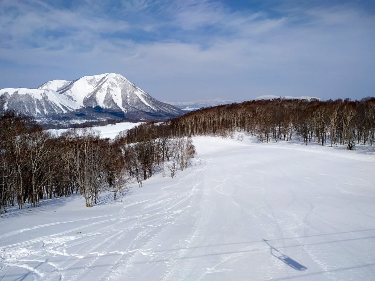 Snow in Niseko