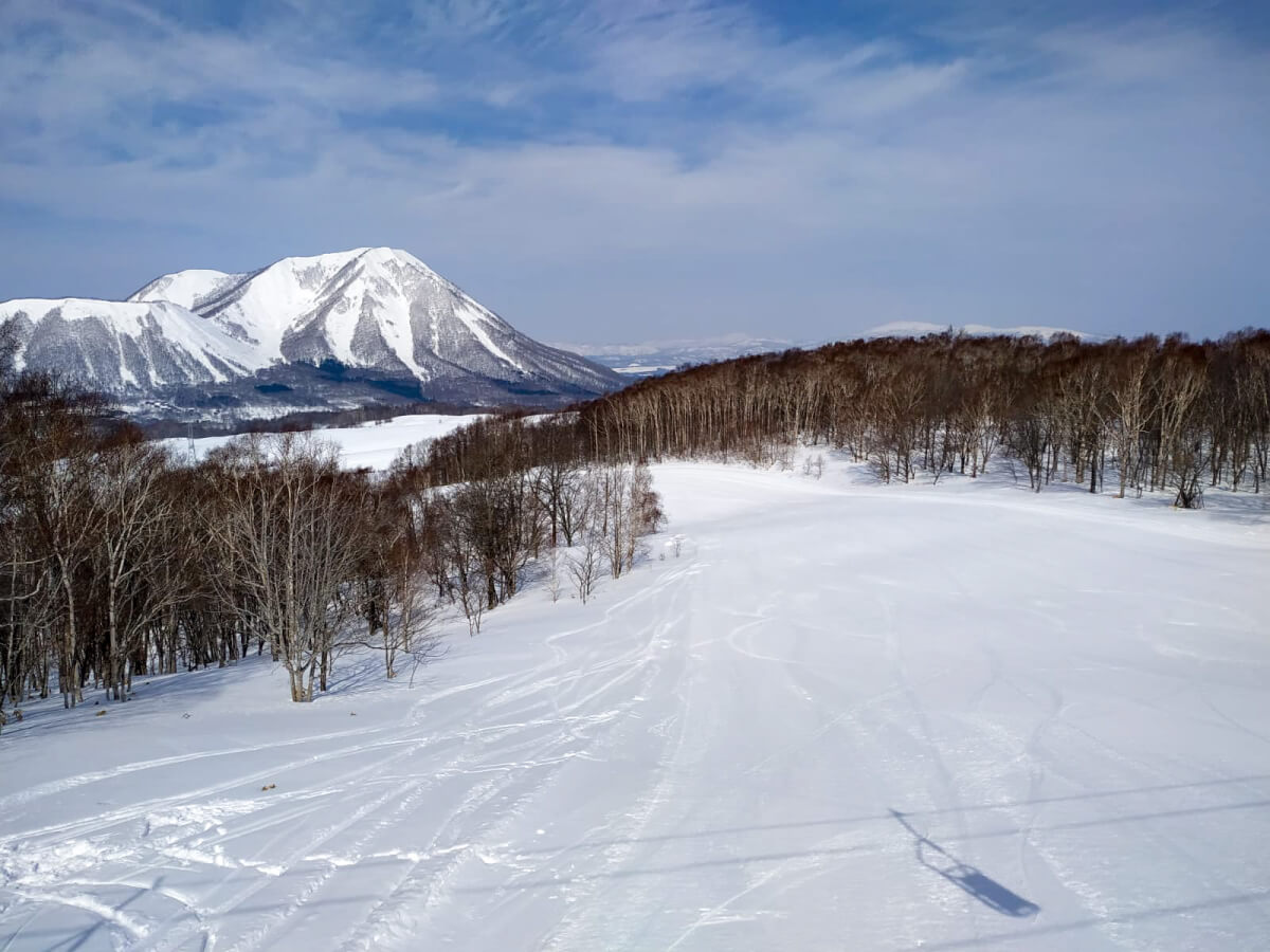 ski tours to japan 2023