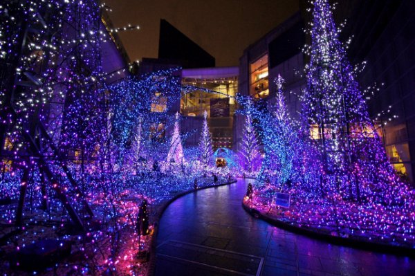 17 Best Christmas And Winter Illuminations In Tokyo 2023 2024 Japan