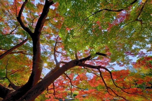 best places to visit in japan autumn