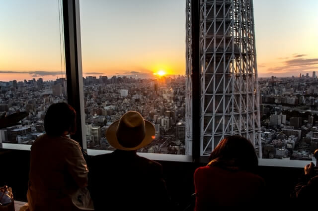 Skytree view