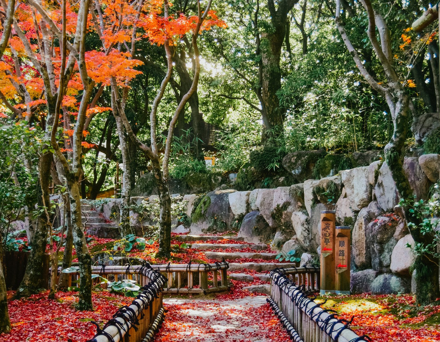 best places in japan to visit in autumn