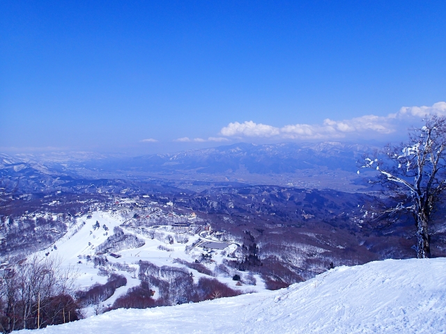 The Best Ski Resorts In Japan