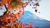 japan dream vacation essay