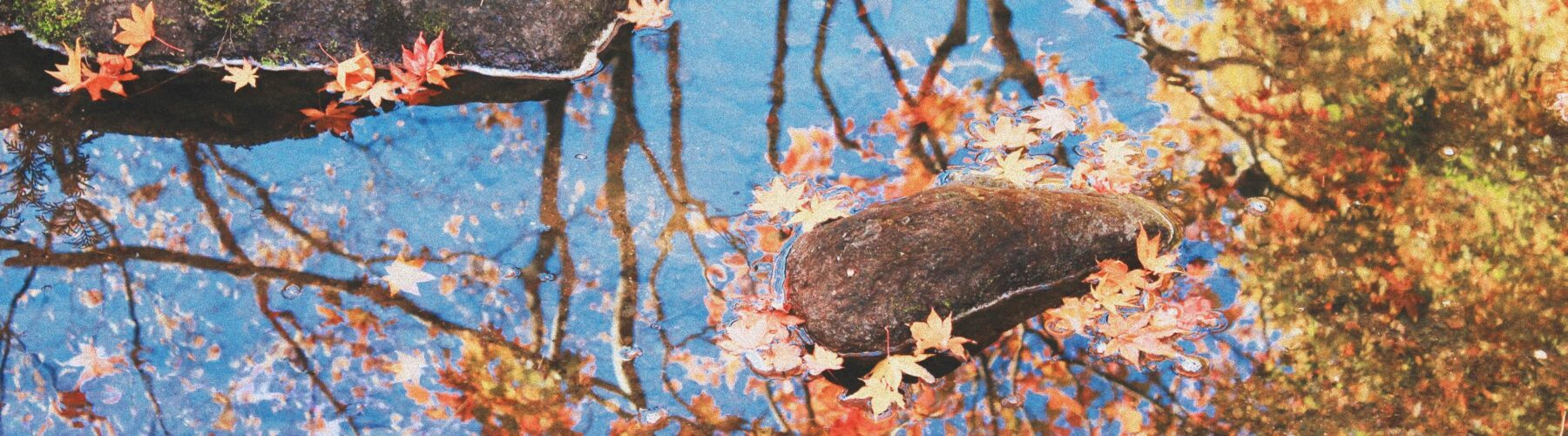 the best autumn activities in Japan