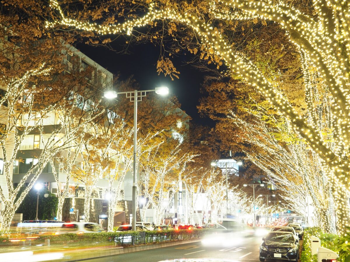 Omotesando illumination 