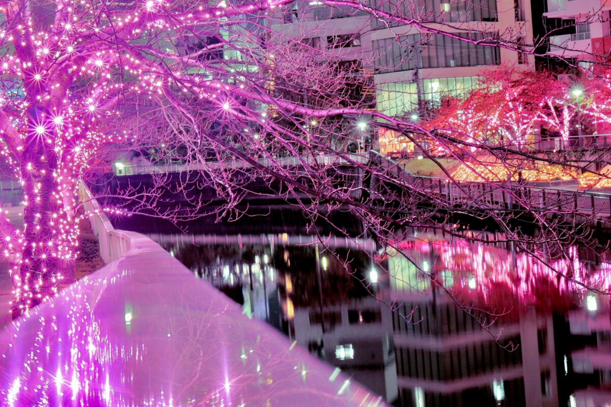 Meguro River Illumination 