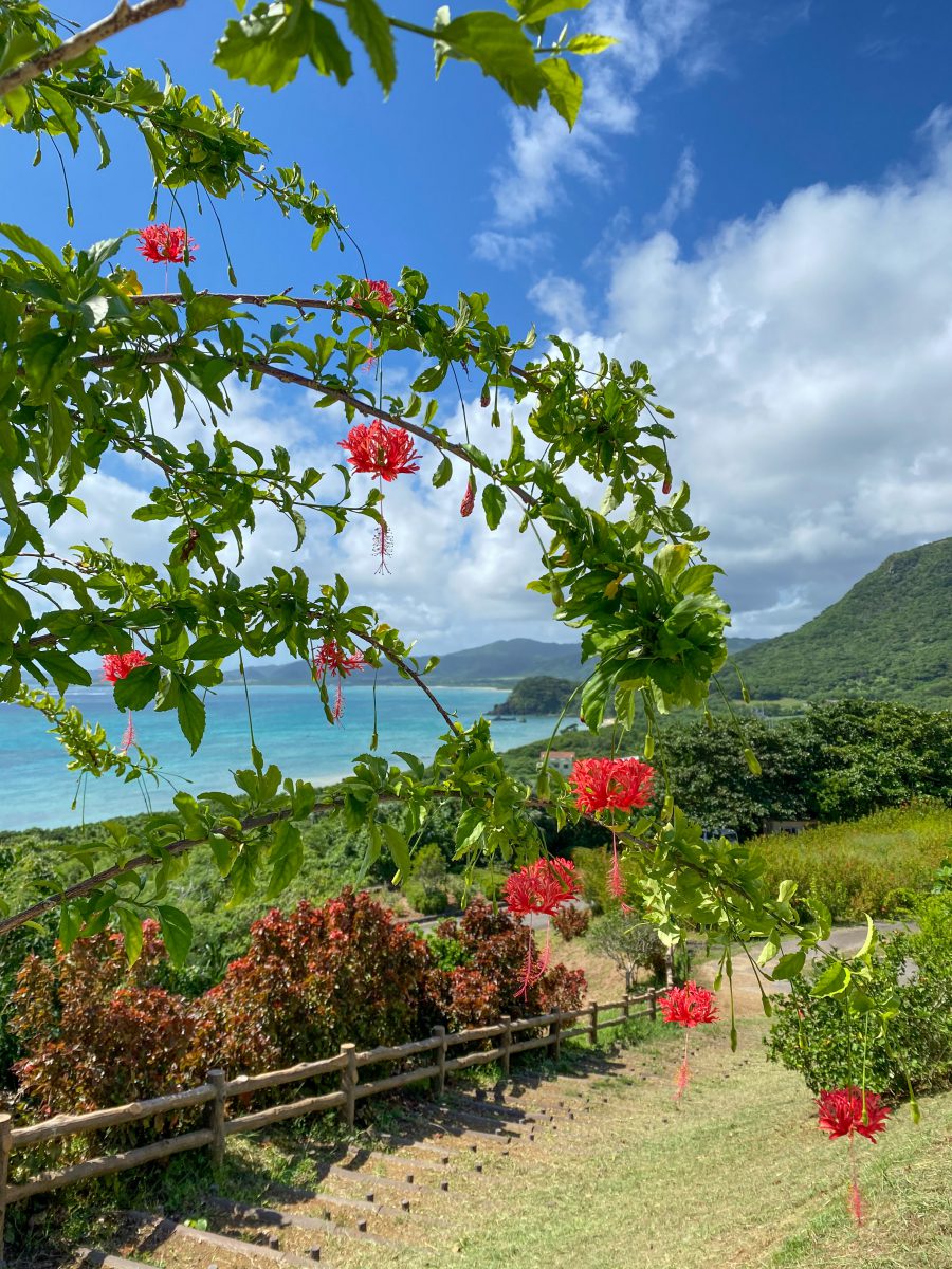 Ishigaki OKinawa