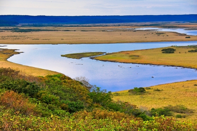 Kushiro Shitsugen National Park Hokkaido