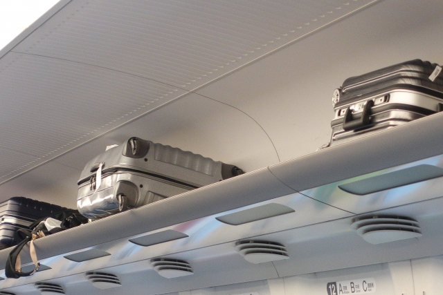 Shinkansen overhead luggage