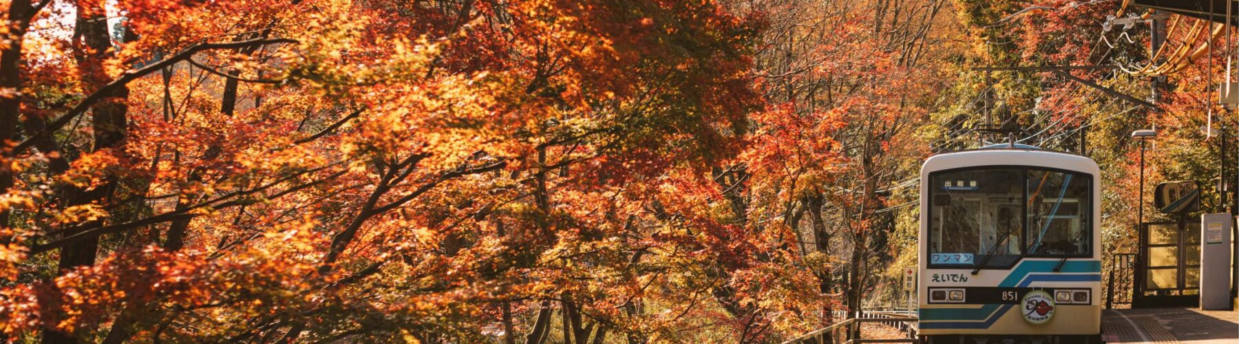 the best things to do in autumn