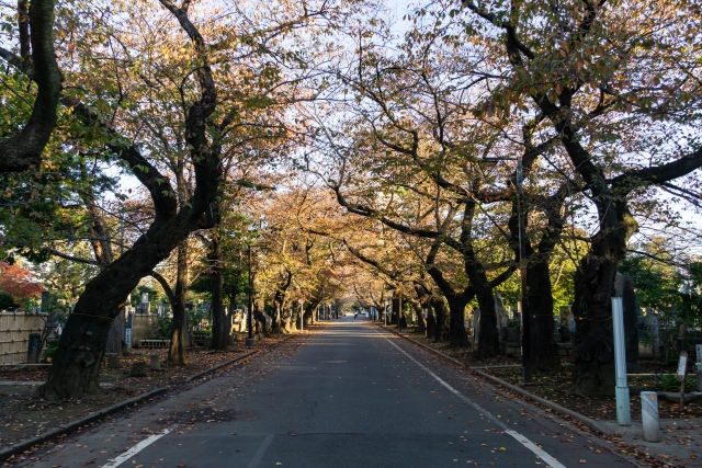 Yanaka reien