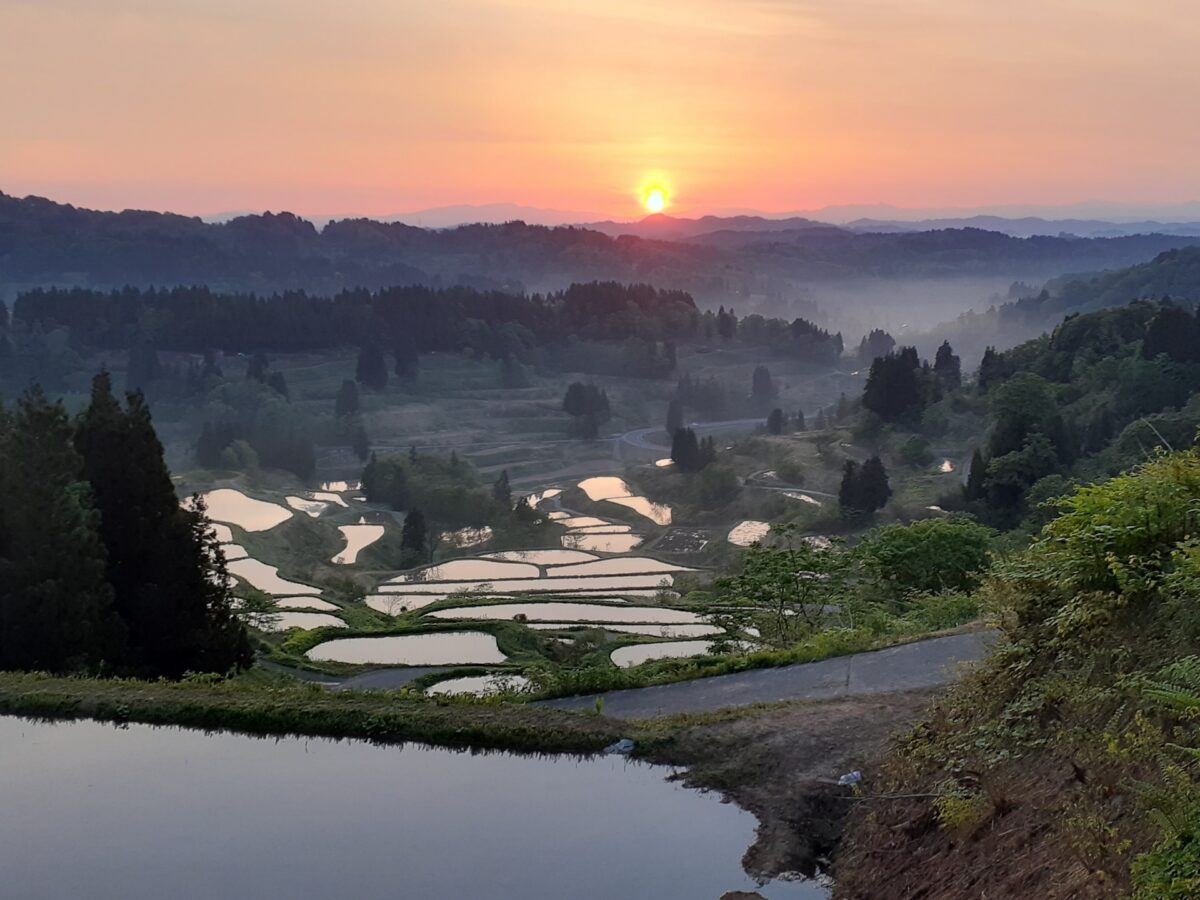 Hoshinotoge Rice Terrace