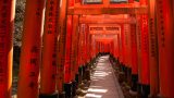 top tourist attractions kyoto