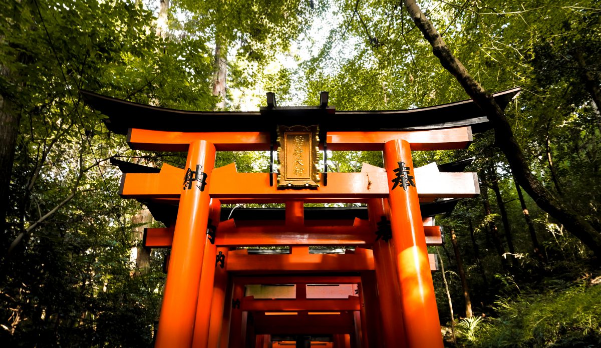 6 Coolest Shrines with Hundreds of Torii Gates in Japan | Japan Wonder ...