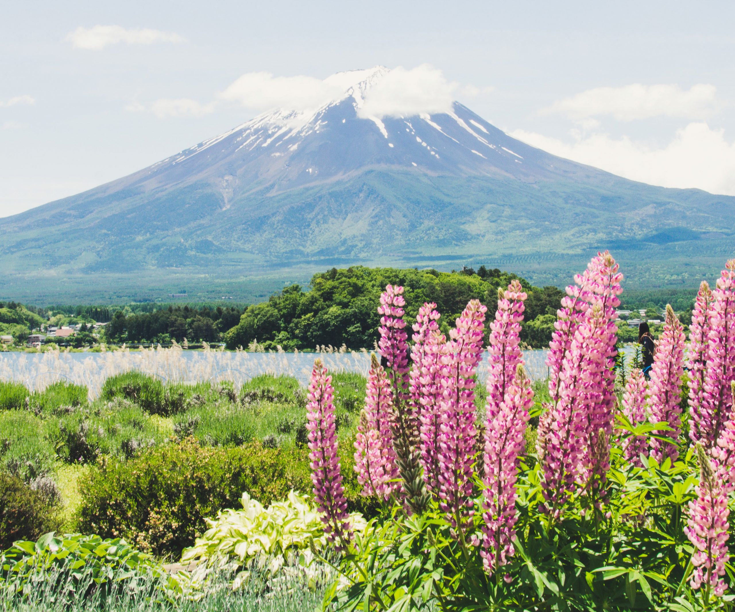 Japan at 300km per hour: Discover the locations featured in the