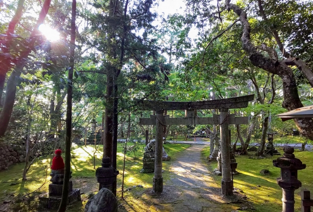 Shinbutsu-shugo, torii