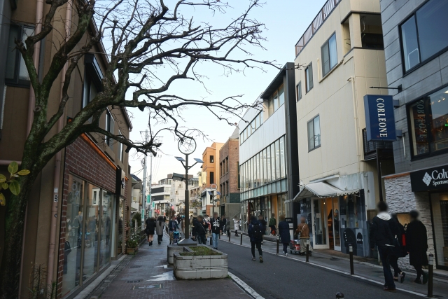 Harajuku cat street