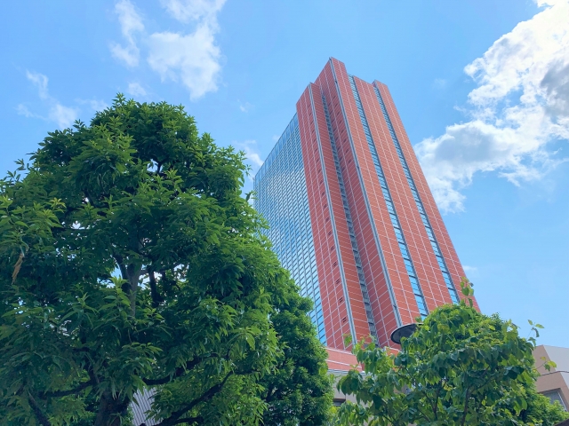 Carrot Tower