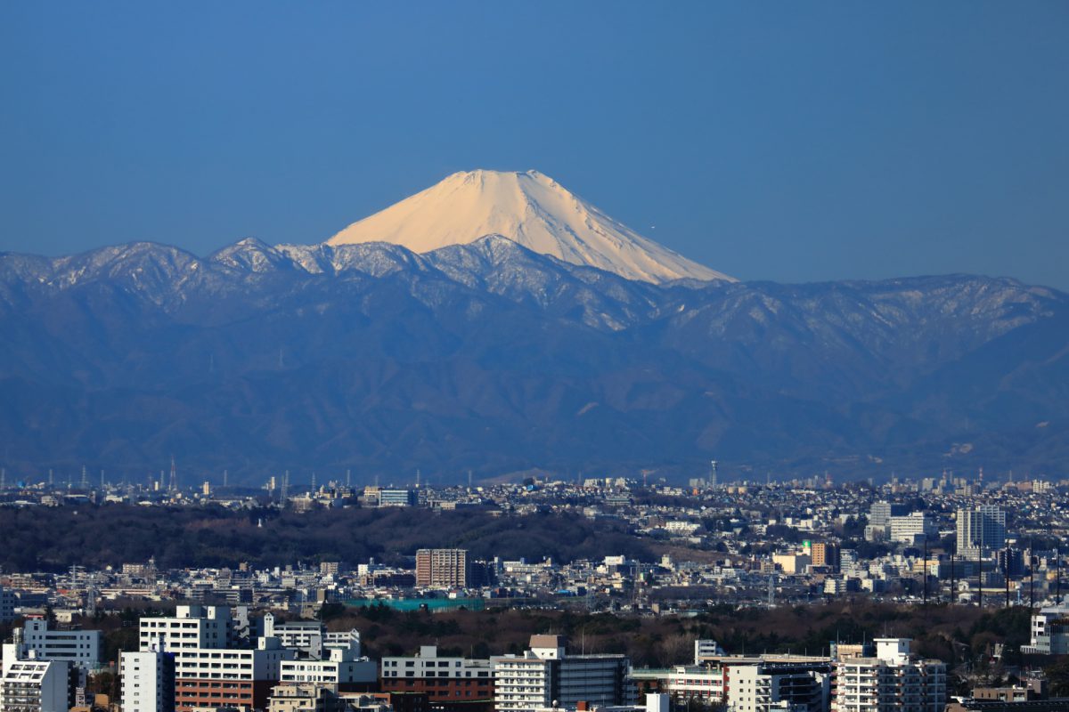 Fuji from carrot tower