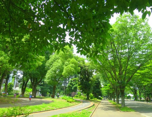 Komazawa Olympic Park