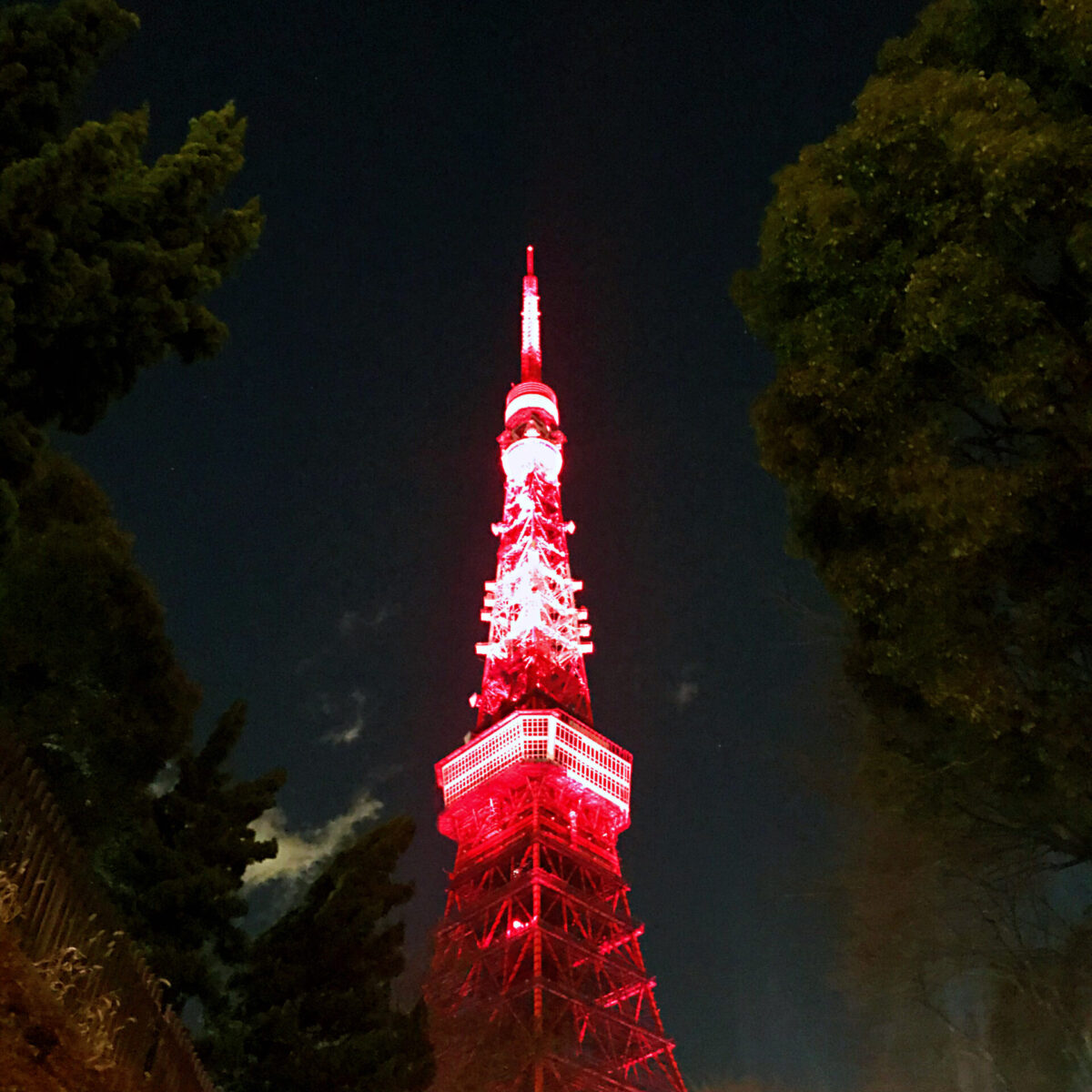chinese new year tokyo tower 