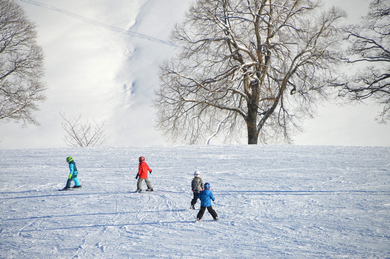 family ski trip japan