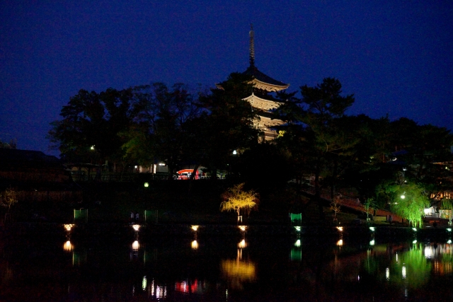 kofukuji light up 