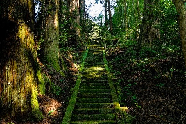 Shikoku 88 pilgrimage ohenro