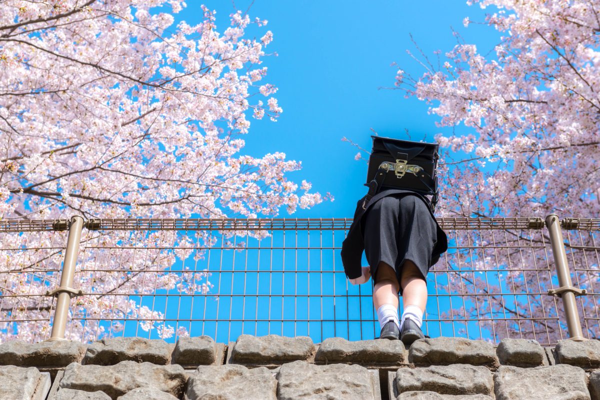 What Are Japanese Elementary Schools Like? Japan Wonder Travel Blog