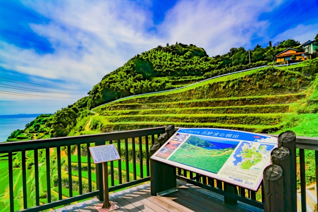 Hamanoura Rice Terraces Lookout