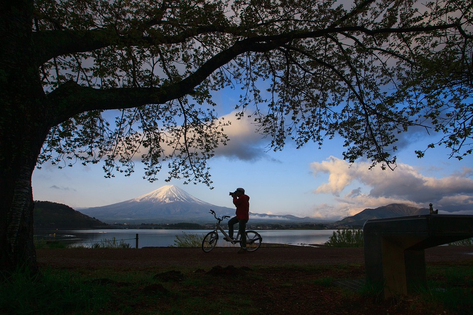 fuji bicycle