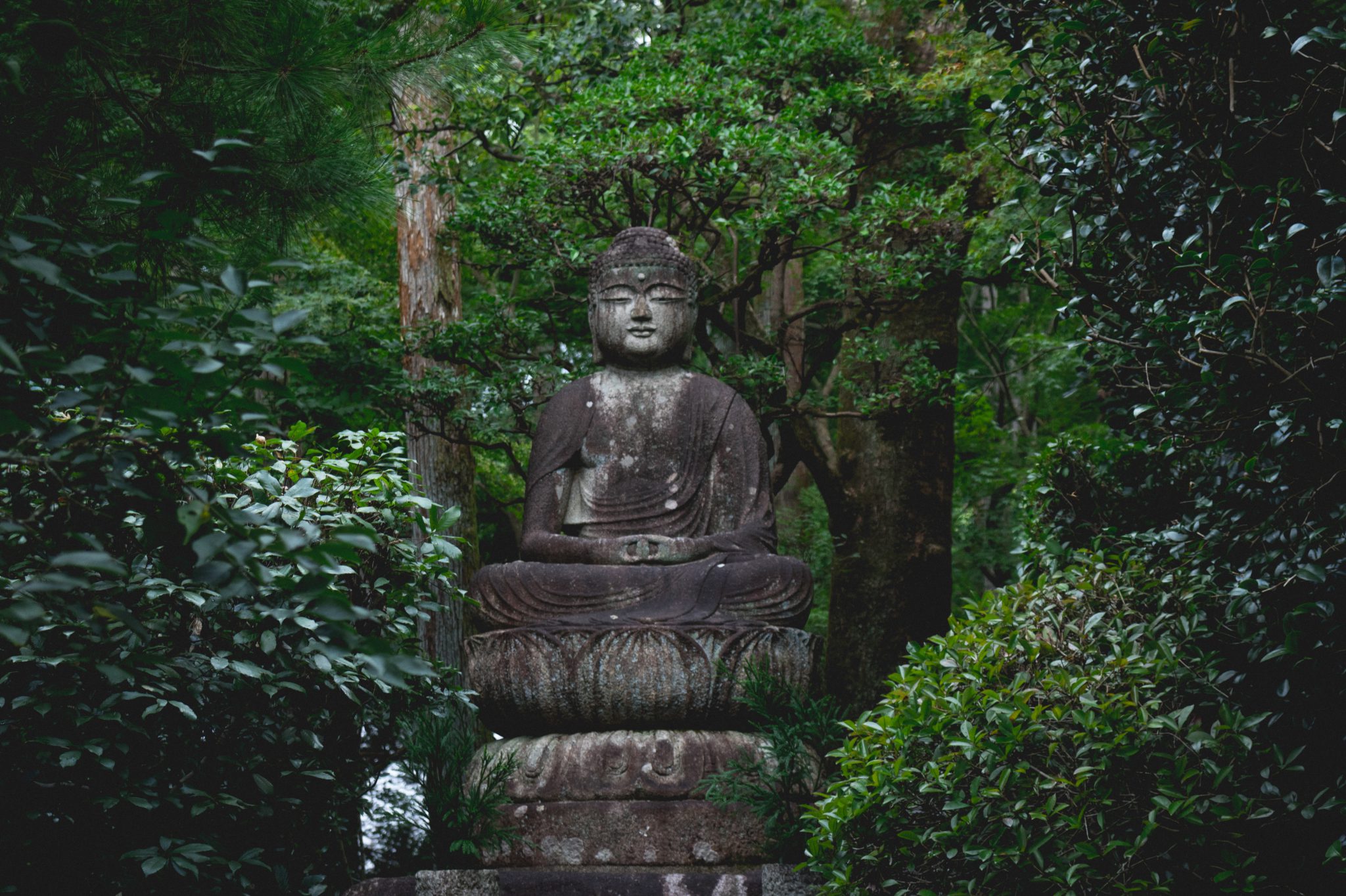 5 Hidden Buddha Statues "Hibutsu" in Japan Japan Wonder Travel Blog