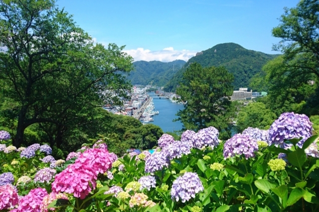 10 Best Places To See Hydrangeas In Tokyo Area 21