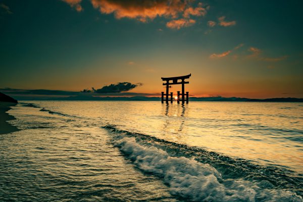 What is Torii Gate? Meaning, Types and Facts | Japan Wonder Travel Blog