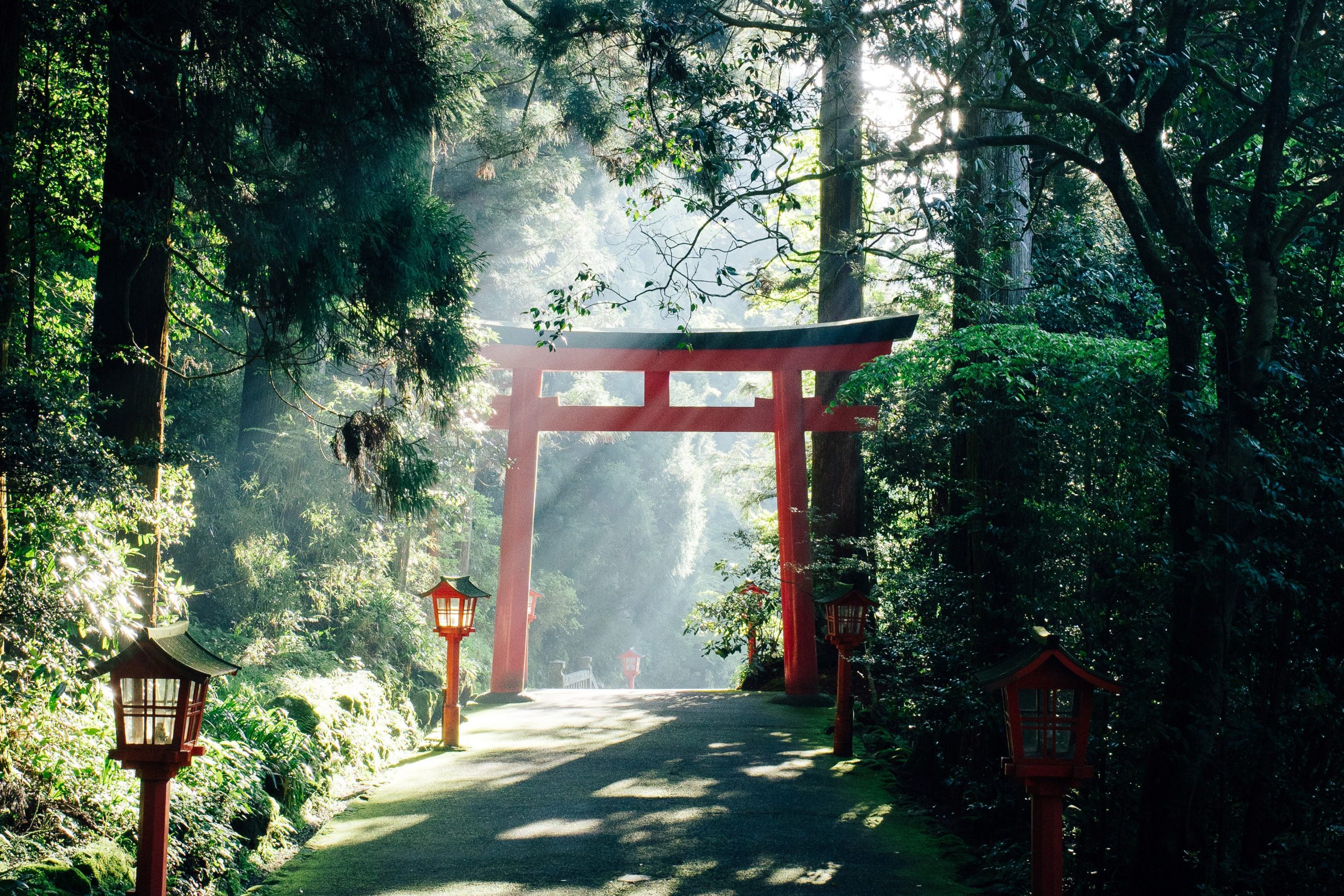 Tea Cabinet With Included Tea Set. Japanese Torii Gate Style 