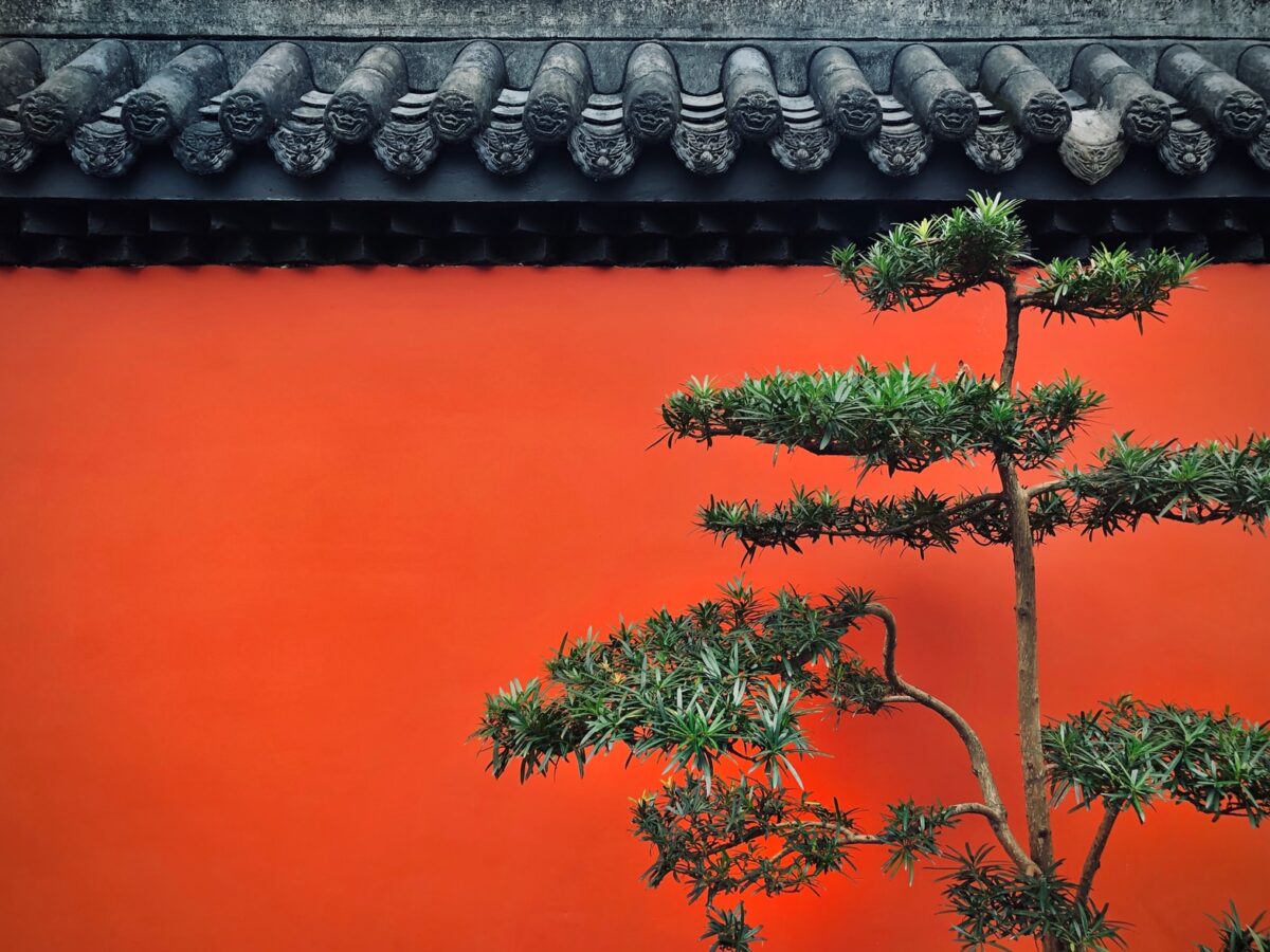 Set Of Japanese Bonsai Trees In Pot At Zen Garden Bonsai Is A Japanese Art  Form Using Trees Grown In Containers Stock Photo - Download Image Now -  iStock