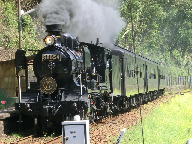 tourist train japan