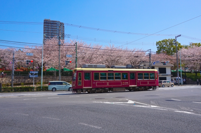 Sakura tram