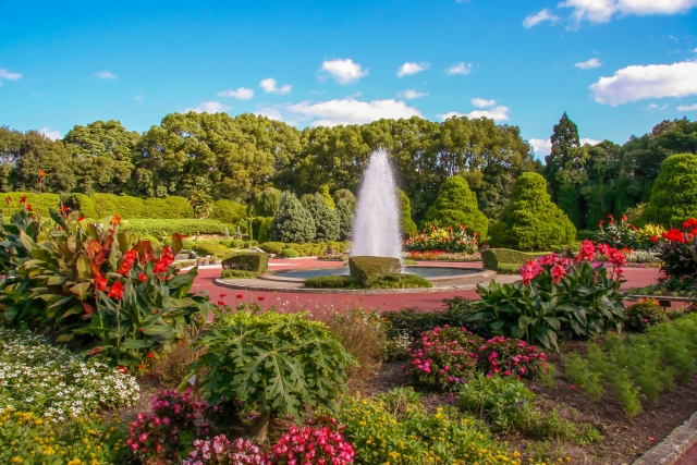 kyoto botanical garden