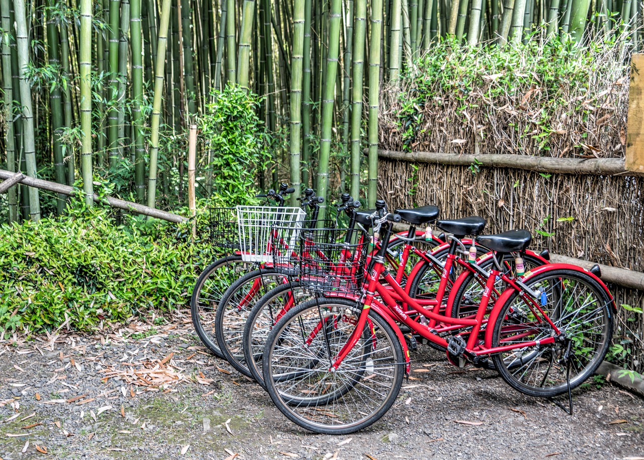 Cycling bamboo