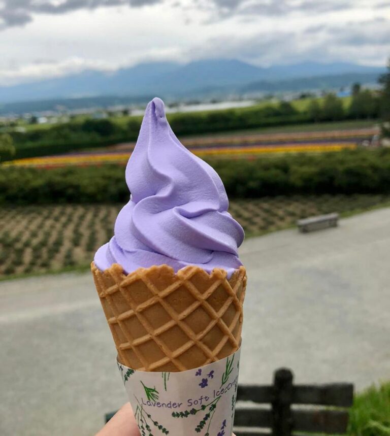 10 Most Unique Ice Cream Flavors in Japan Japan Wonder Travel Blog