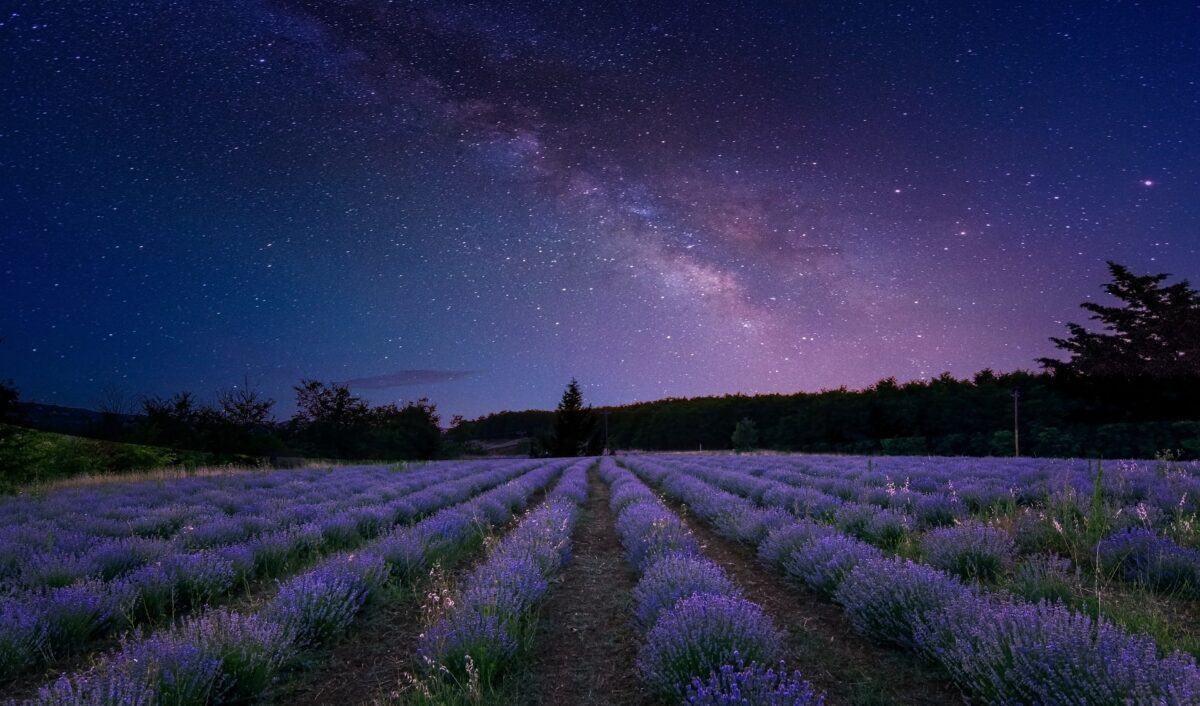 tanabata milky way