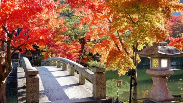 10 Best Places to See Autumn Leaves in Kyoto 2024 | Japan Wonder Travel ...