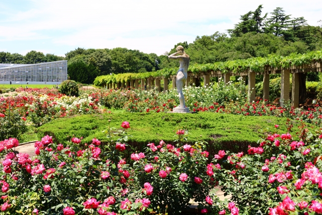 Jindai Botanical garden 