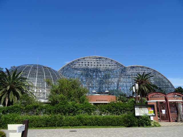 Yumenoshima Tropical Greenhouse Dome Garden