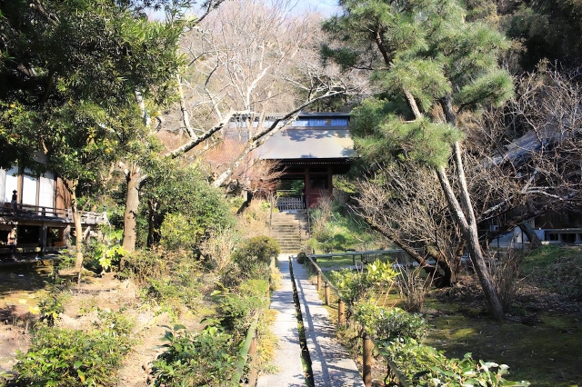 Myohoji Temple Kamakura