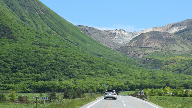 can a tourist drive in japan