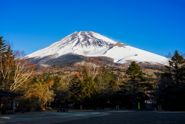 can a tourist drive in japan