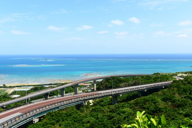 can a tourist drive in japan